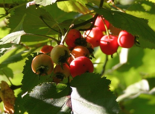 Haws | Outside My Window