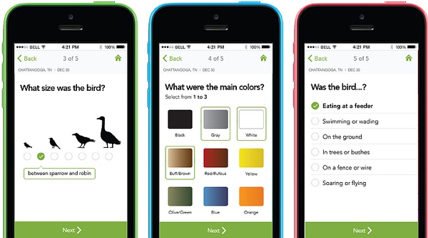 To Identify a bird, answer 5 questions (screenshot from Merlin Bird ID app)