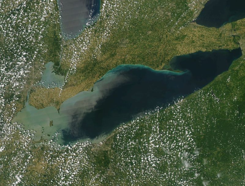 Satellite MODIS image of Lake Erie, 1 July 2018 (image from NOAA Coast Watch Great Lakes Node)