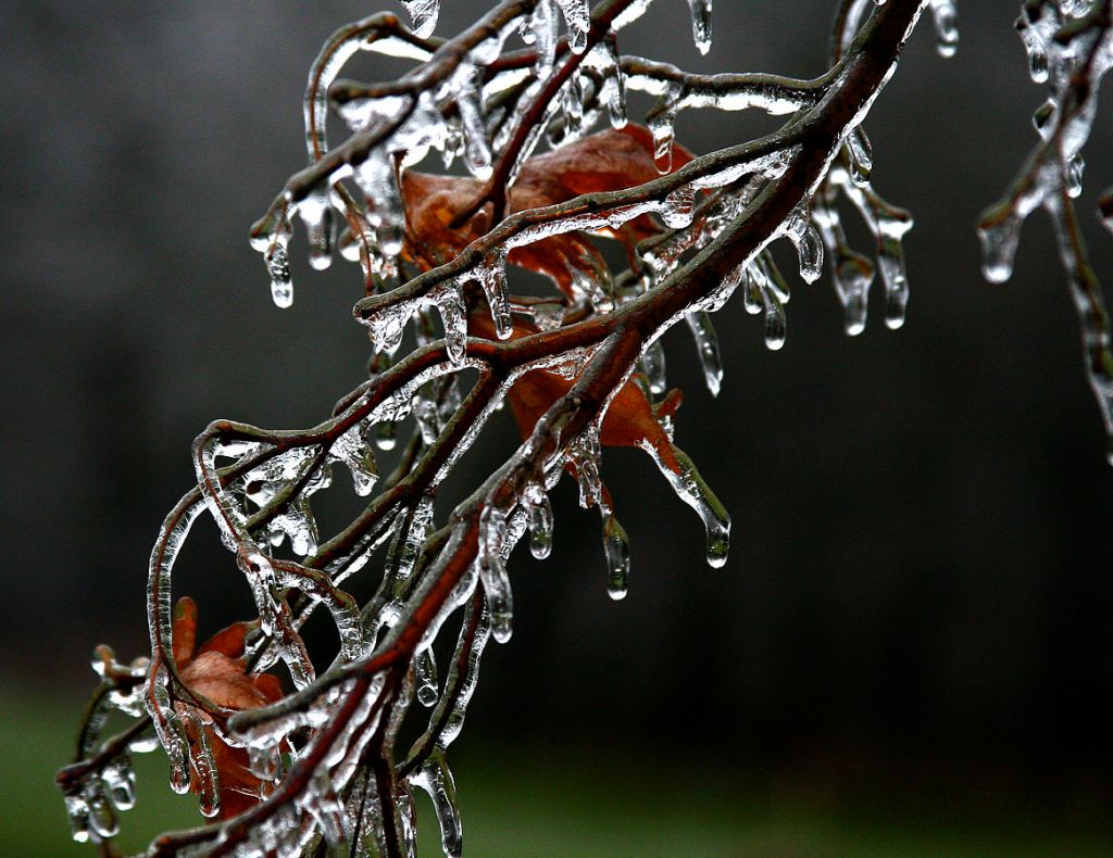 Glazing | Outside My Window