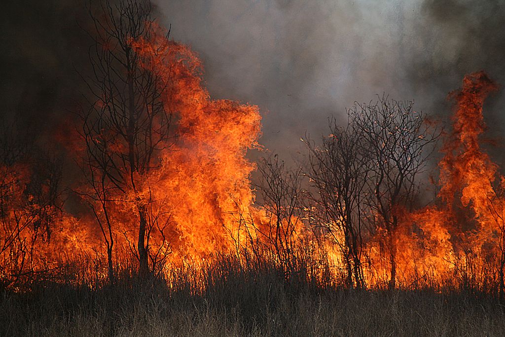 Pennsylvania Fire Season | Outside My Window