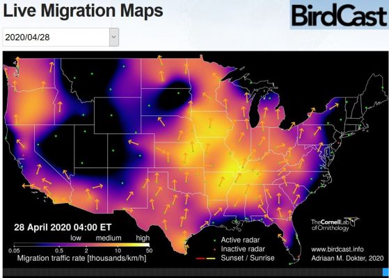 A Good Day For Birding? Check These Maps | Outside My Window