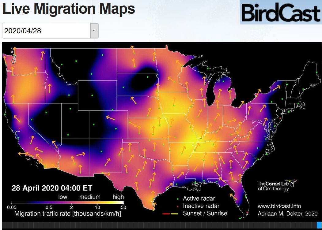 A Good Day For Birding? Check These Maps | Outside My Window