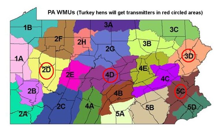 Tracking Turkeys In PA Outside My Window   Map PA WMU Turkey Study 2 Pgc 768x461 