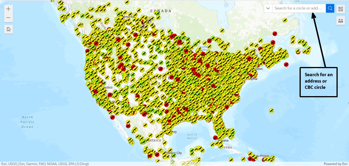 Start Counting! Christmas Bird Counts 2023 Outside My Window