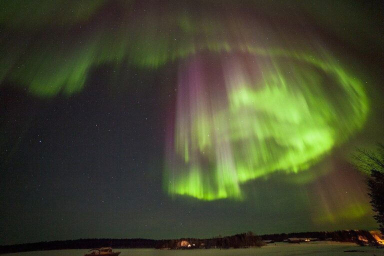 It’s the Best Time of Year for the Northern Lights Outside My Window