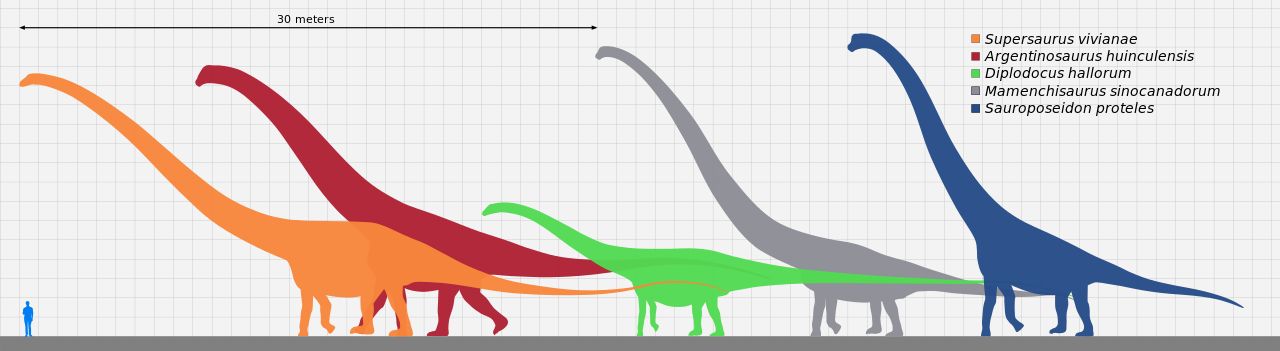 How Did Dinosaurs Eat Tall Trees? | Outside My Window